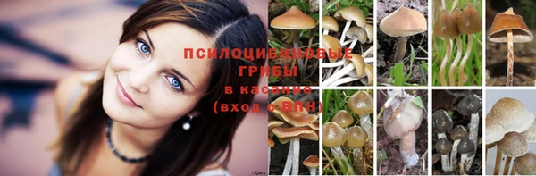 марки nbome Кинешма
