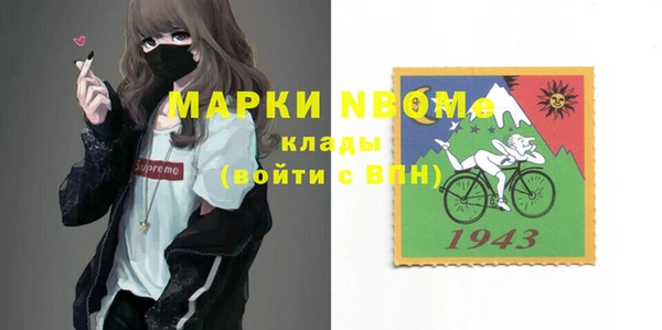 твердый Козельск