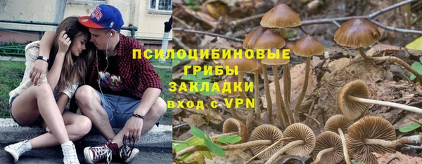 ALPHA PVP Киренск