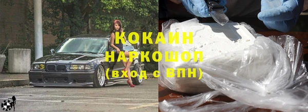 сатива Кодинск