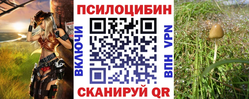 Купить Жуков Галлюциногенные грибы мухоморы